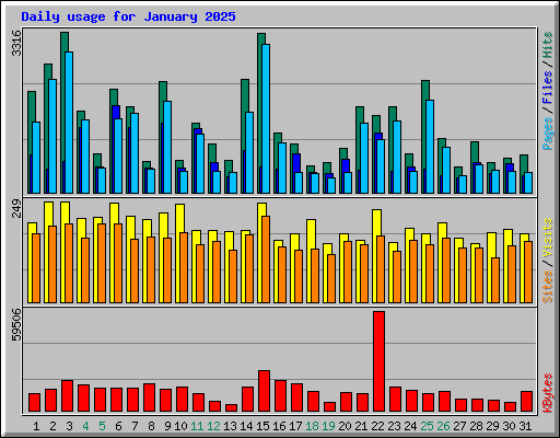 Daily usage for January 2025