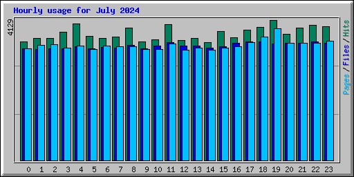 Hourly usage for July 2024