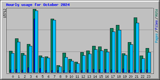 Hourly usage for October 2024