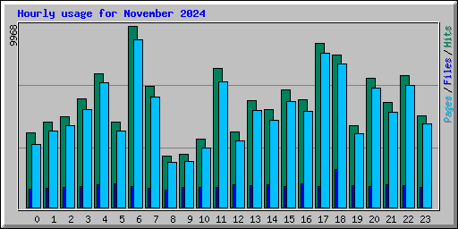 Hourly usage for November 2024