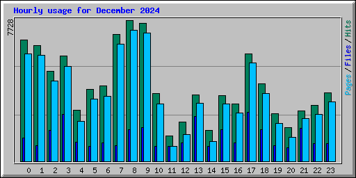 Hourly usage for December 2024