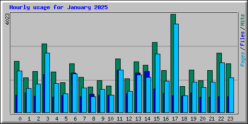 Hourly usage for January 2025