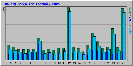 Hourly usage for February 2025