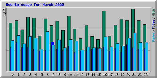 Hourly usage for March 2025