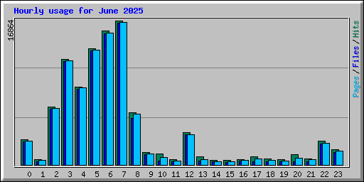 Hourly usage for June 2025