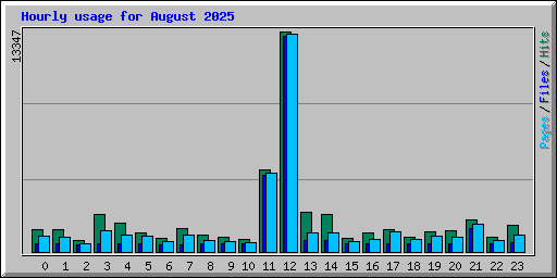 Hourly usage for August 2025